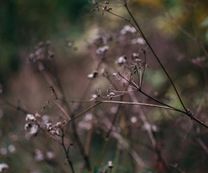 pexels-iodum-9724631